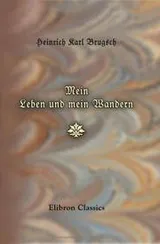Cover of Mein Leben und mein Wandern