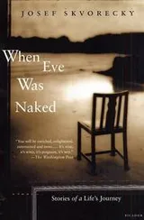 Cover of When Eve Was Naked