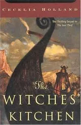 Cover of The witches' kitchen
