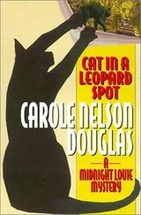 Cover of Cat in a leopard spot