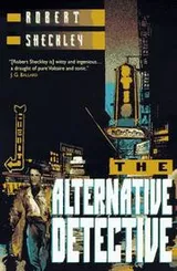 Cover of The Alternative Detective