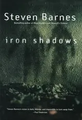 Cover of Iron shadows