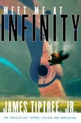 Cover of Meet Me at Infinity