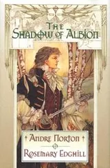 Cover of The shadow of Albion