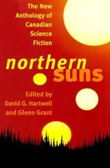 Cover of Northern suns