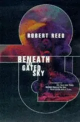 Cover of Beneath The Gated Sky (Beyond the Veil of Stars)