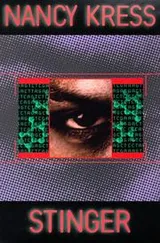 Cover of Stinger