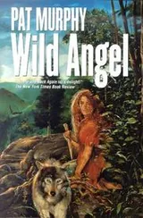 Cover of Wild angel