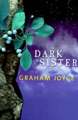 Cover of Dark sister