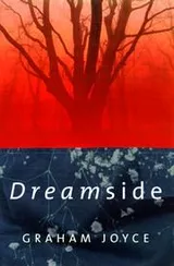 Cover of Dreamside