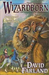 Cover of Wizardborn