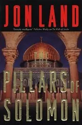Cover of The pillars of Solomon