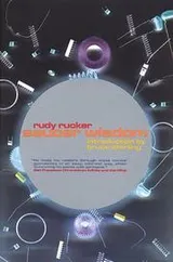 Cover of Saucer wisdom
