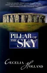 Cover of Pillar of the sky