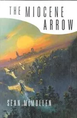 Cover of The Miocene arrow