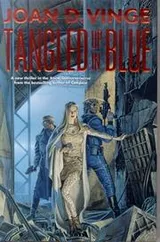 Cover of Tangled up in Blue