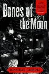 Cover of Bones of the moon