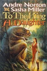 Cover of To the king a daughter