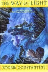 Cover of The Way of Light (The Chronicles of Magravandias, Book 3)