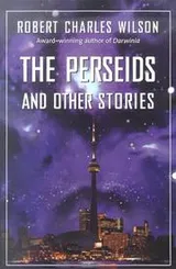 Cover of The Perseids and other stories