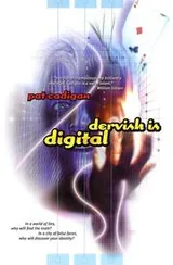 Cover of Dervish Is Digital (Tea from an Empty Cup)