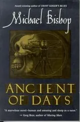 Cover of Ancient of days