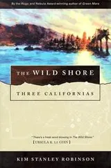 Cover of The Wild Shore