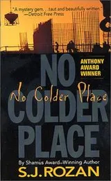 Cover of No Colder Place (A Bill Smith/Lydia Chin Novel)