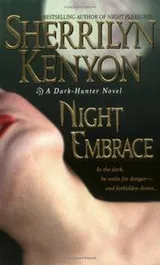 Cover of Night embrace