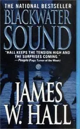 Cover of Blackwater Sound