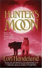 Cover of Hunter's moon