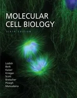 Cover of Molecular Cell Biology 6e