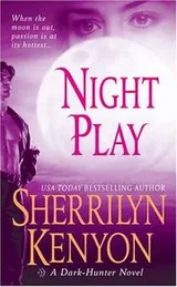 Cover of Night play