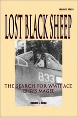 Cover of Lost Black Sheep