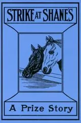 Cover of The Strike at Shane's