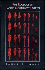Cover of Fire ecology of Pacific Northwest forests