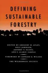 Cover of Defining sustainable forestry