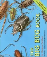Cover of The Big Bug Book