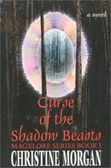 Cover of Curse of the shadow beasts