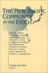 Cover of The New Pacific Community in the 1990s (Research Project (Center for Asia Pacific Studies), No. 3.)