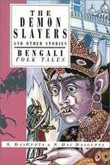Cover of The demon slayers and other stories