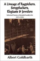 Cover of A lineage of ragpickers, songpluckers, elegiasts & jewelers