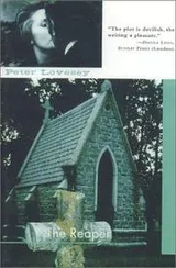 Cover of The Reaper