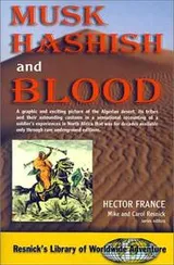 Cover of Musk Hashish and Blood (Resnick's Library of Worldwide Adventure)