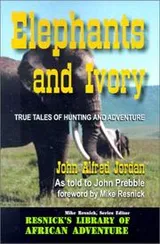 Cover of Elephants and Ivory