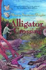 Cover of Alligator Crossing