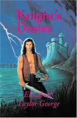 Cover of Knight's Desire