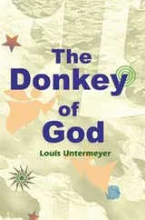 Cover of The donkey of God