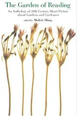 Cover of The garden of reading