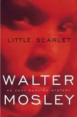 Cover of Little Scarlet (Easy Rawlins Mysteries)